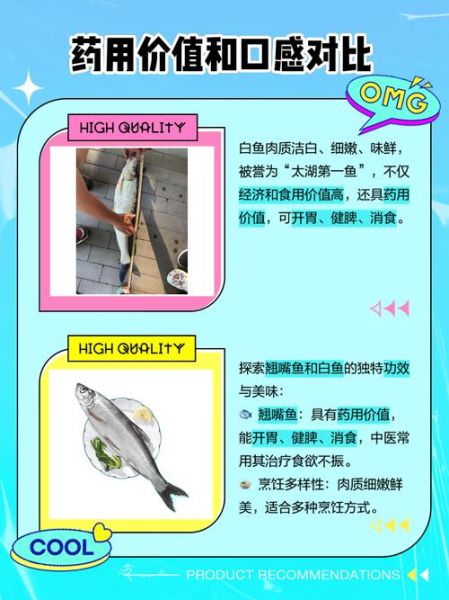 梦到白鱼是什么意思_白鱼梦境解析