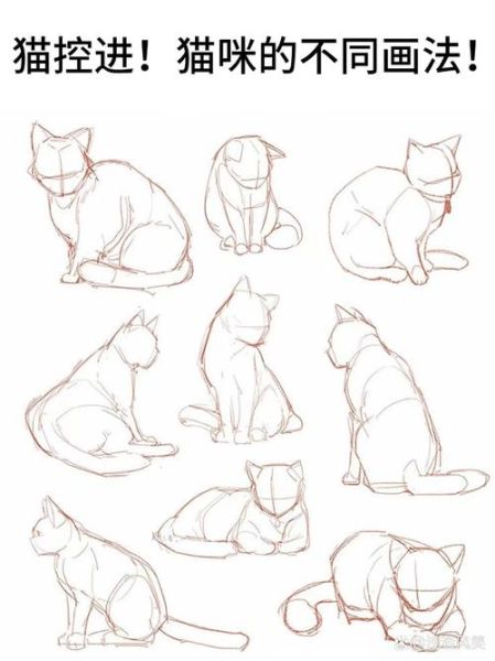 画猫的图片大全_如何画出逼真的猫咪