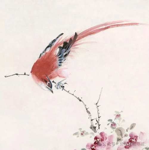 鸟画图片大全_如何临摹鸟类国画