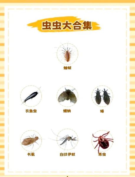 家里常见虫子图片大全_如何识别与防治