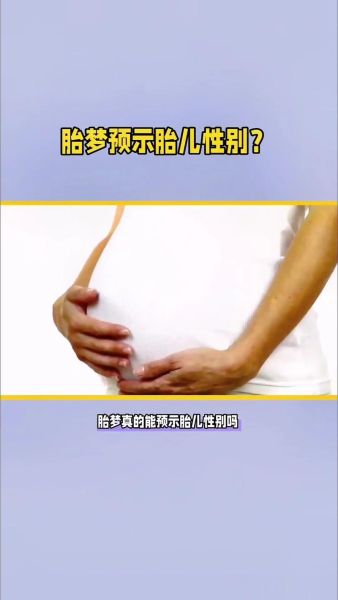 孕妇梦到猴子是什么意思_胎梦预示生男生女