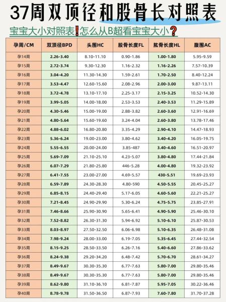 37周双顶径正常值是多少_胎儿发育是否达标