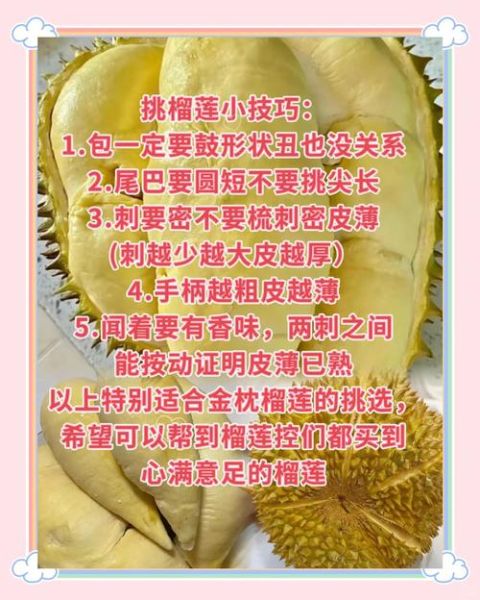 大榴莲图片大全_如何挑选成熟榴莲