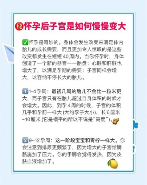 子宫偏小能怀孕吗_子宫偏小怀孕几率大吗