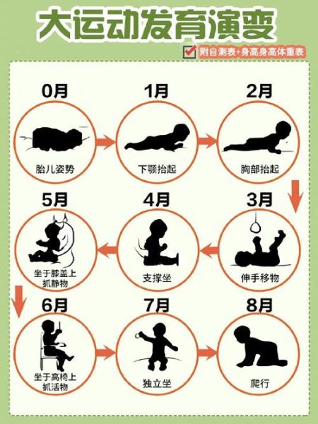 6个月宝宝发育标准_6个月宝宝不会翻身怎么办