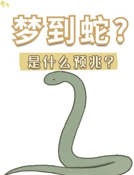 做梦梦到大蛇是什么征兆_梦见大蛇好不好