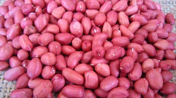 花生图片大全大图_哪里可以找到高清花生图