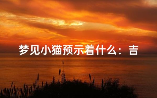 梦到小狗小猫是什么意思_梦到小狗小猫的预兆