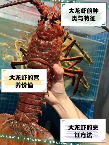 梦到大龙虾是什么意思_梦到大龙虾预示着什么