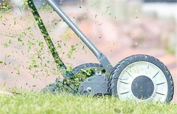 梦到割草是什么意思_割草梦境预示什么