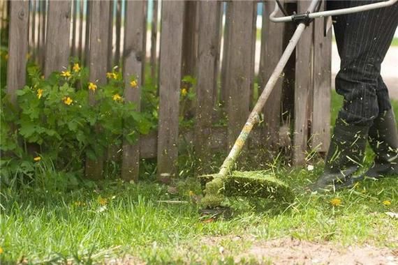 梦到割草是什么意思_割草梦境预示什么