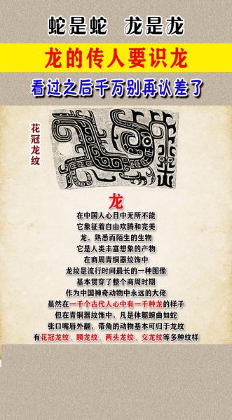 梦到龙和蛇是什么意思_梦见龙蛇同时出现代表什么