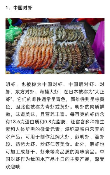 梦到虾是什么意思_梦到虾是吉是凶