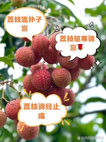 孕妇梦到摘荔枝是什么意思_孕妇梦见摘荔枝生男生女