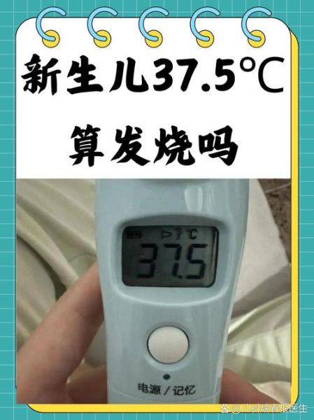 五个月宝宝正常体温是多少_宝宝体温37.3算发烧吗