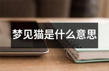 梦到很多猫是什么意思_梦见猫群暗示什么