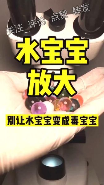 海洋宝宝有毒吗_误食后怎么办