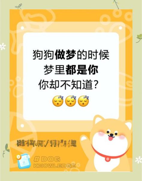 梦到小狗狗是什么意思_梦见小狗代表什么