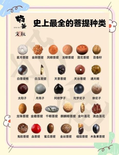 佛珠图片大全_佛珠材质怎么选