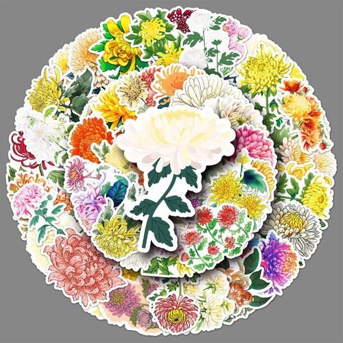 花纸图片大全_花纸怎么贴才好看