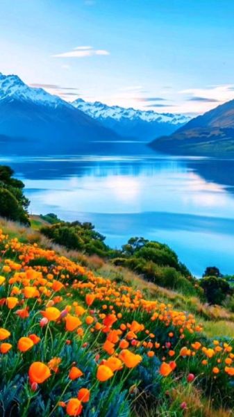 壁纸免费下载图片大全_高清壁纸哪里找