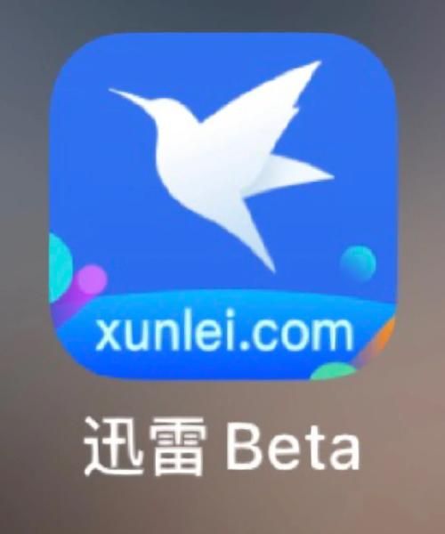 全集迅雷下载安全吗_全集迅雷下载怎么找资源