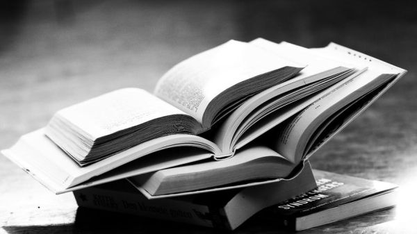 绿椅子迅雷下载_绿椅子高清资源在哪找