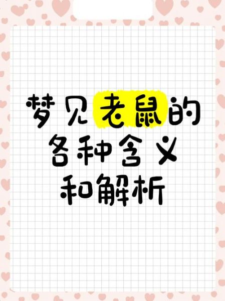 梦到大老鼠是什么意思_梦见大老鼠预示什么