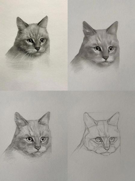 动物素描画图片大全_如何快速临摹