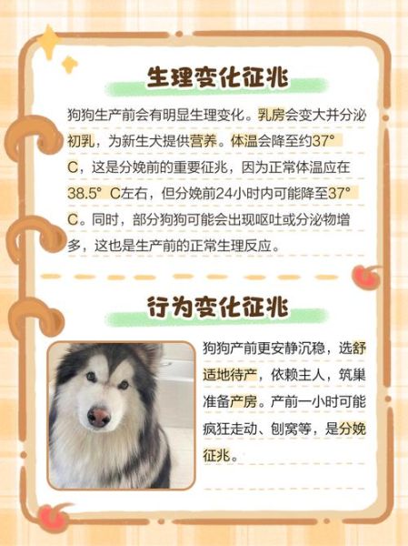 梦见狗狗生宝宝是什么意思_周公解梦准不准