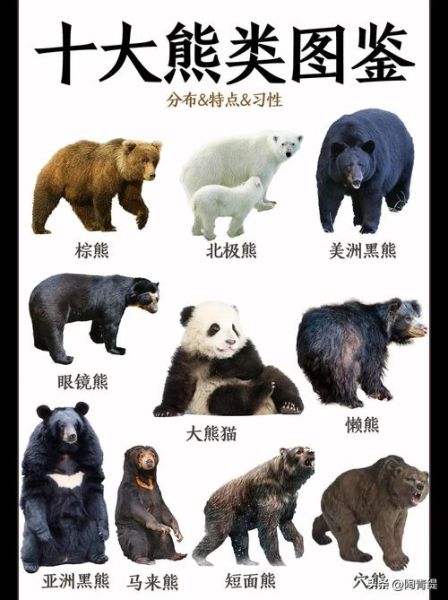 各种动物图片大全_高清动物图鉴怎么找