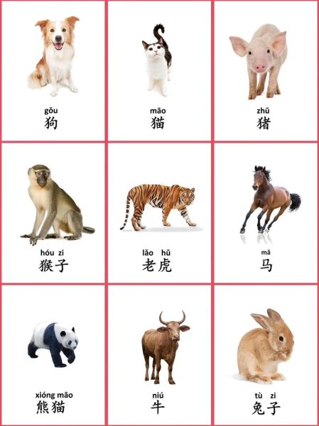 各种动物图片大全_高清动物图鉴怎么找