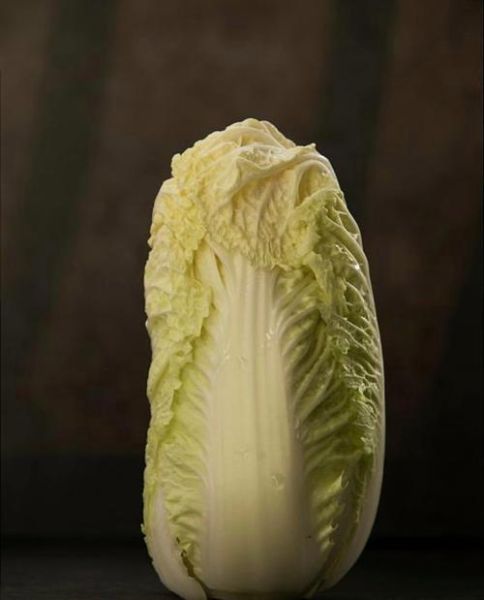 孕妇梦到白菜是什么意思_孕妇梦见白菜生男生女