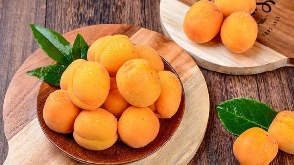 梦到吃杏是什么意思_梦到吃杏预示什么