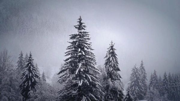 背景素材图片大全_如何挑选商用免版权图