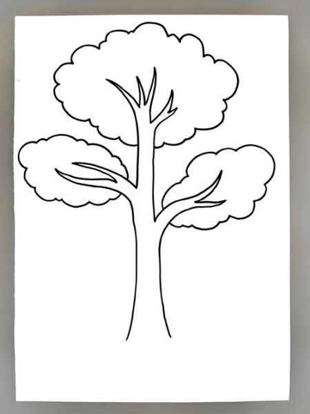 树的简笔画怎么画_树的简笔画图片大全