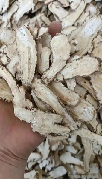 当归长什么样_当归图片大全怎么分辨真假