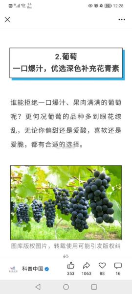 孕妇梦到葡萄是什么意思_孕妇梦见葡萄生男生女