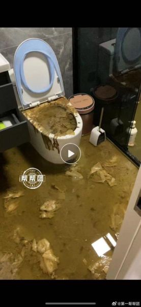 梦到粪水是什么意思_梦到粪水预示着什么