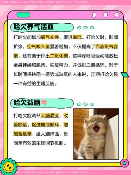 宝宝一直打哈欠是什么原因_宝宝频繁打哈欠怎么办