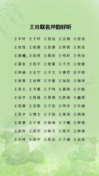 王氏宝宝取名大全_王氏宝宝取名怎么取