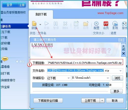 迅雷种子怎么下载_迅雷种子下载慢怎么办
