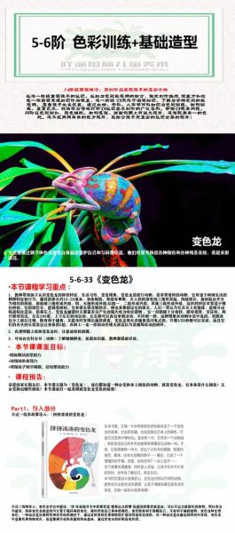 变色龙图片大全_变色龙为什么变色