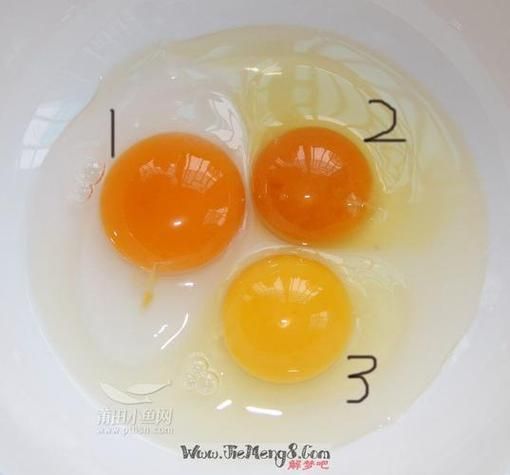 梦到吃荷包蛋什么意思_周公解梦吃荷包蛋预示什么