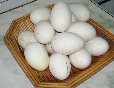 梦到捡鹅蛋是什么意思_孕妇梦见捡鹅蛋预示什么