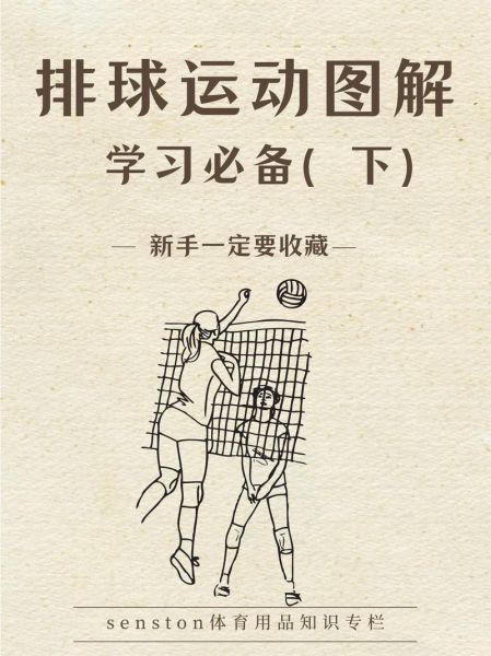排球图片大全_排球动作图解怎么拍