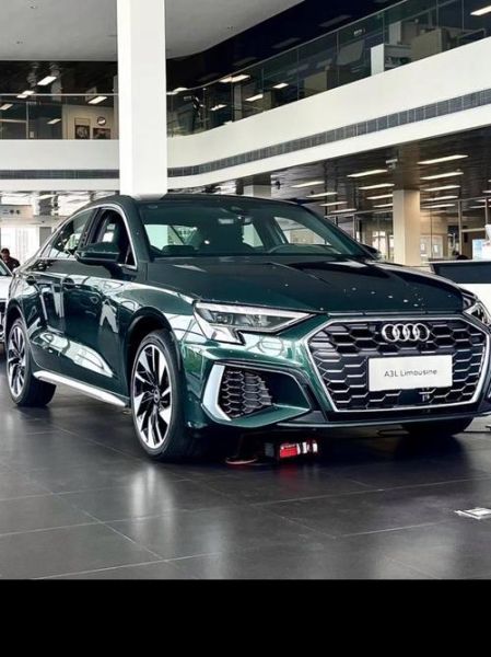 奥迪车图片大全_奥迪车型怎么选