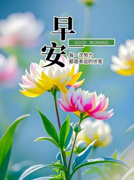 早安问候语图片大全_如何挑选适合朋友圈的配图