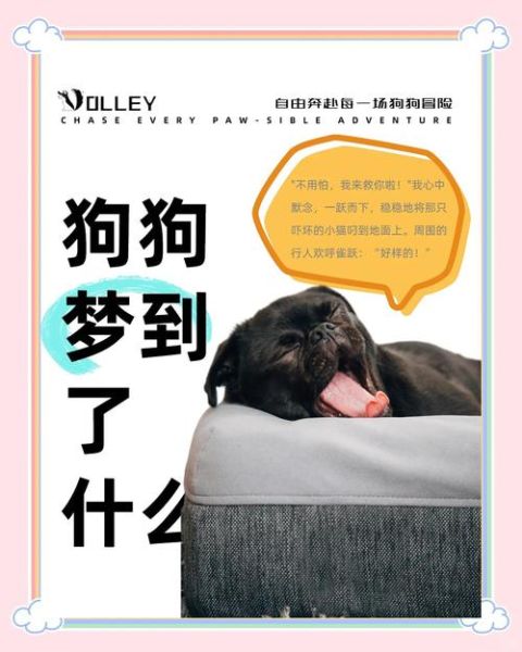 梦到一群狗是什么意思_梦到一群狗预示什么