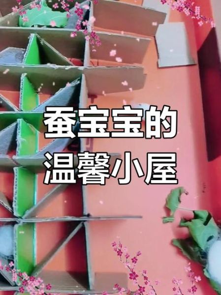 蚕宝宝结茧架子怎么做_自制蚕茧架教程